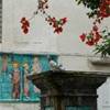 Ischia ITALIA 