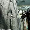 Dubai Mall EMIRATI ARABI UNITI 