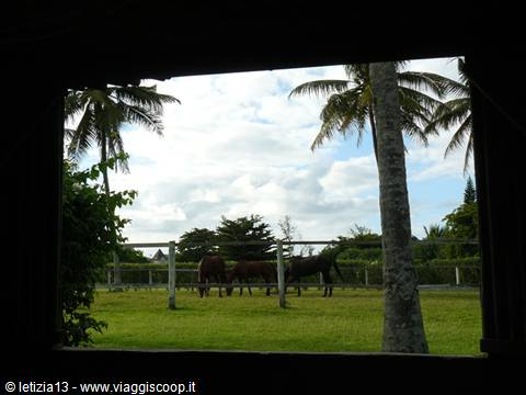 Asso Villa: Colazione con Vista