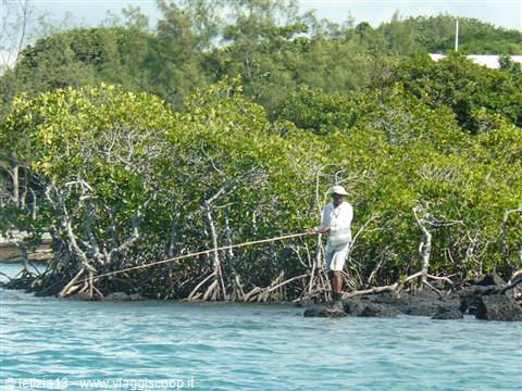 Pesca a Trou d'Eau Douce