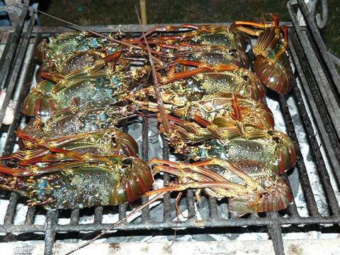 Grigliata in spiaggia
