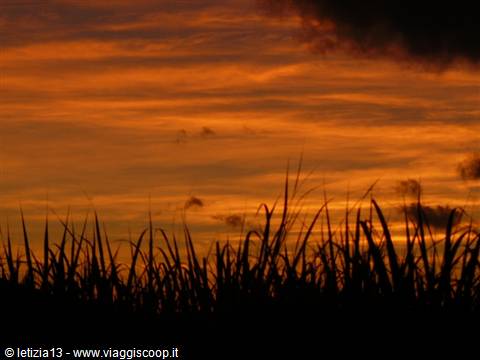 Tramonto su un canneto