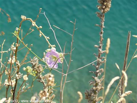 Bocche di Cattaro