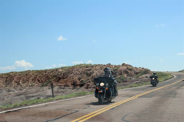 Petrified Forest NP