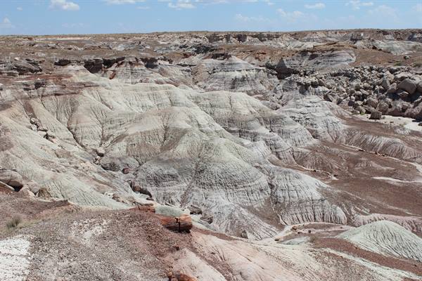 Petrified Forest NP