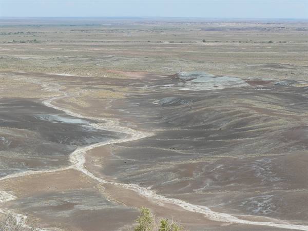 Petrified Forest NP