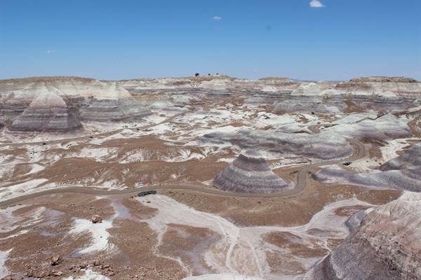 Petrified Forest NP