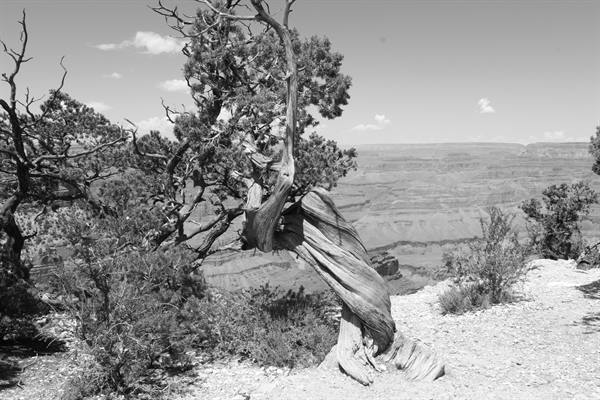 GRAND CANYON NP