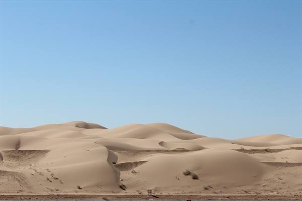 Yuma sand dunes