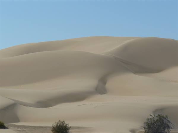 Yuma sand dunes
