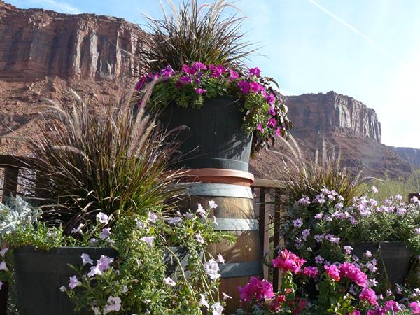 Red Cliff Lodge