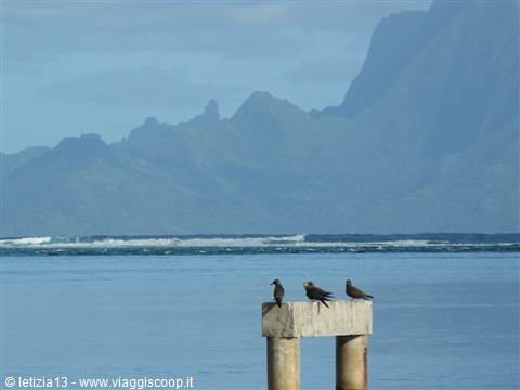 Le Meridien Tahiti - Veduta su Moorea