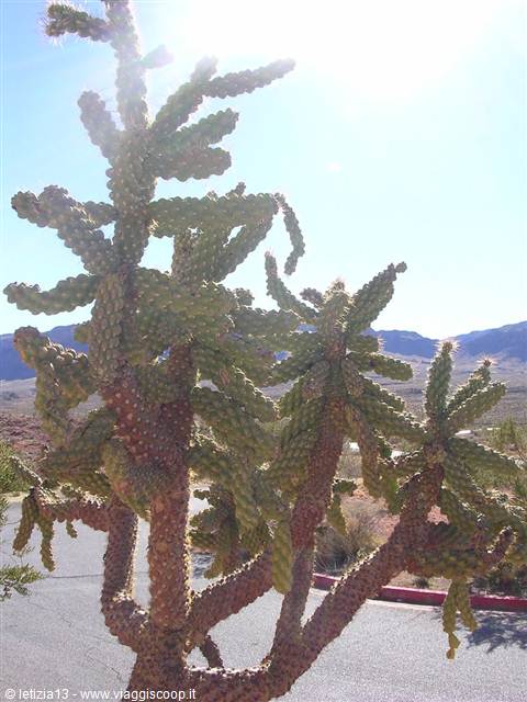 Valley Of Fire State Park