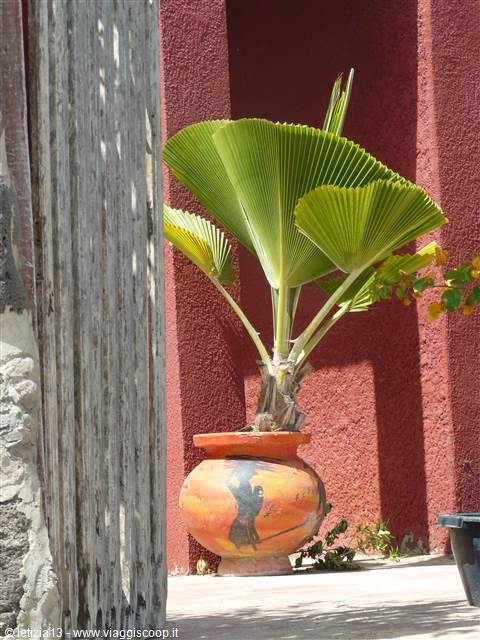 Giardino sull'isola di Ngor