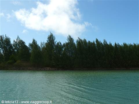 Anse aux Pines