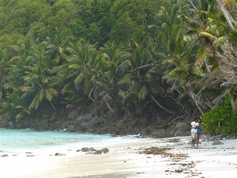 Anse Parnel
