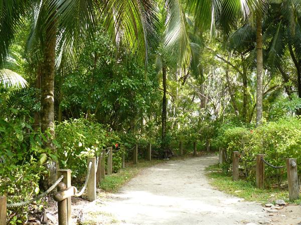 Arrivo ad Anse Intendance