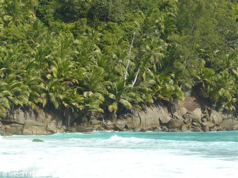 Anse Intendance