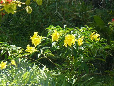 SkyBlue GuestHouse - Il nostro giardino