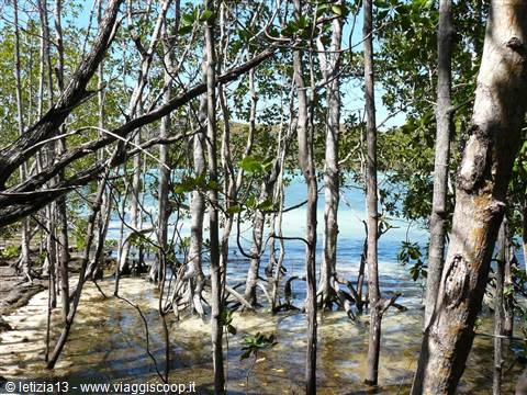 Curieuse Island