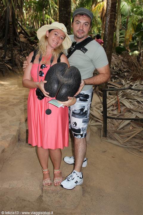 Vallée de Mai - Il Coco de mer