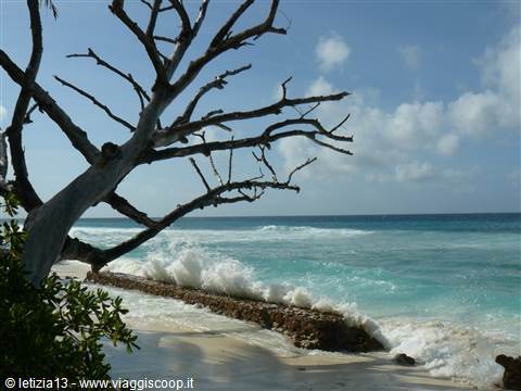 Anse Gaulette