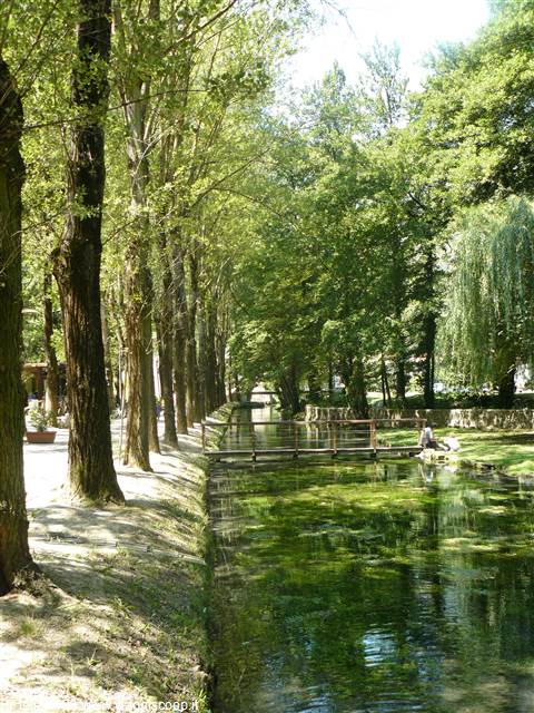 Scheggino, Fonti di valcasana
