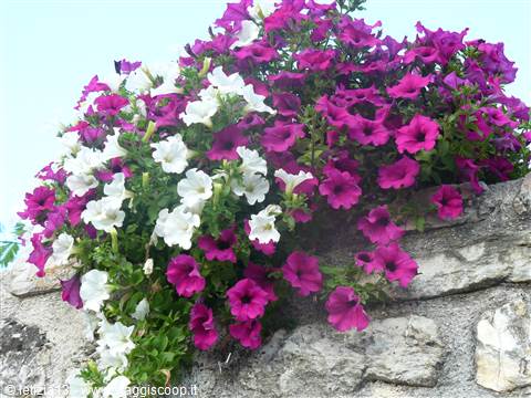 Castel San Felice