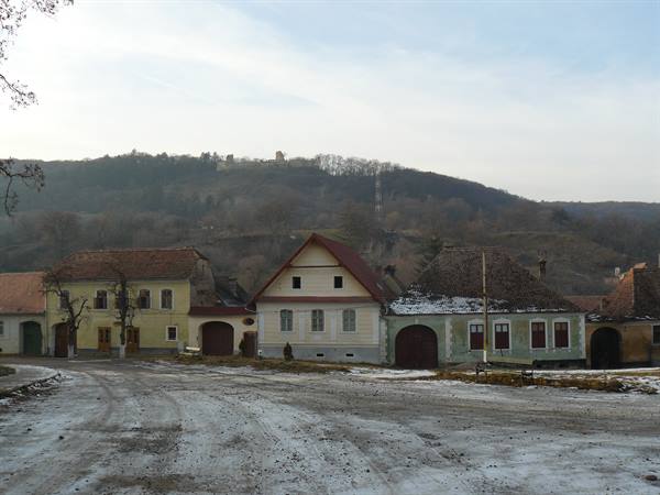Saschiz