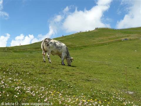 Grossgloktner Alpenstrasse