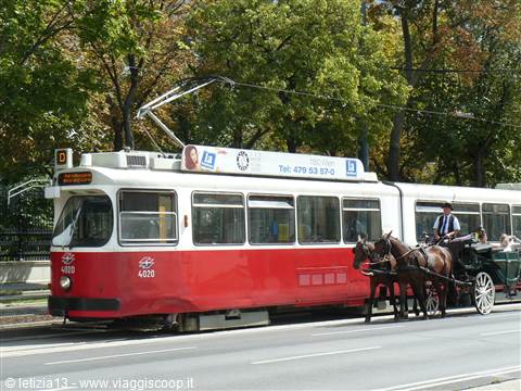 Vienna 