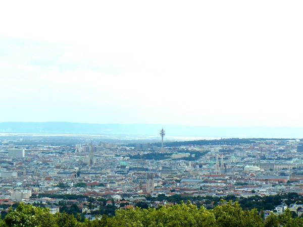 Vienna - Panorama sulla città