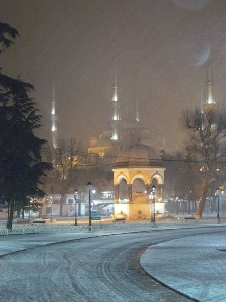 Nevicata notturna