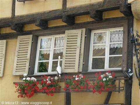 Colmar