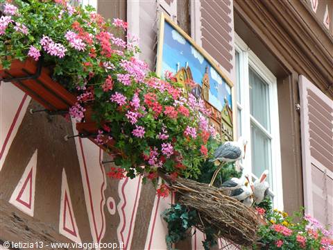 Colmar