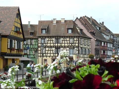 Colmar