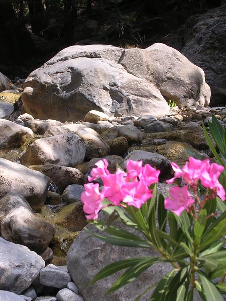 Gole di Samaria