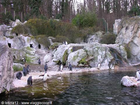 Tiergarten