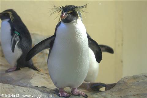 Tiergerten