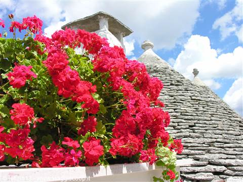 Alberobello