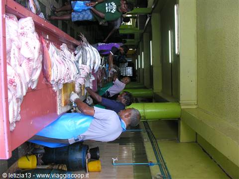 Fish Market