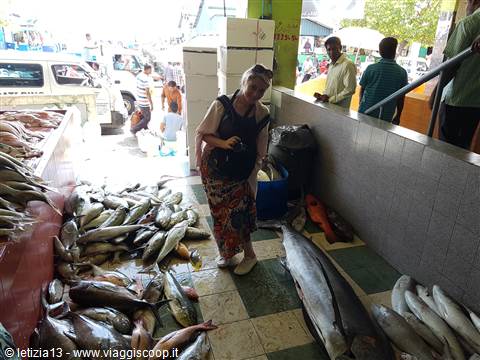 Fish Market