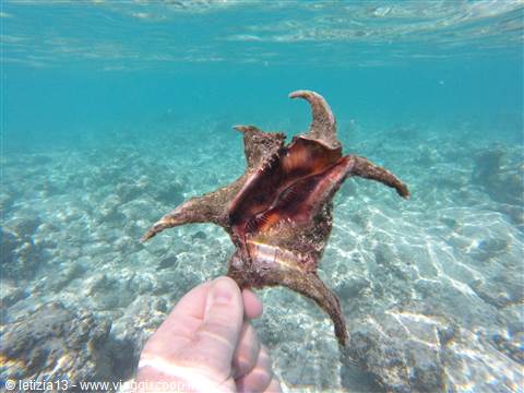 Snorkeling