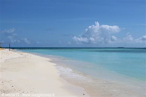 Bikini Beach