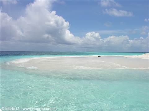 Sandbank