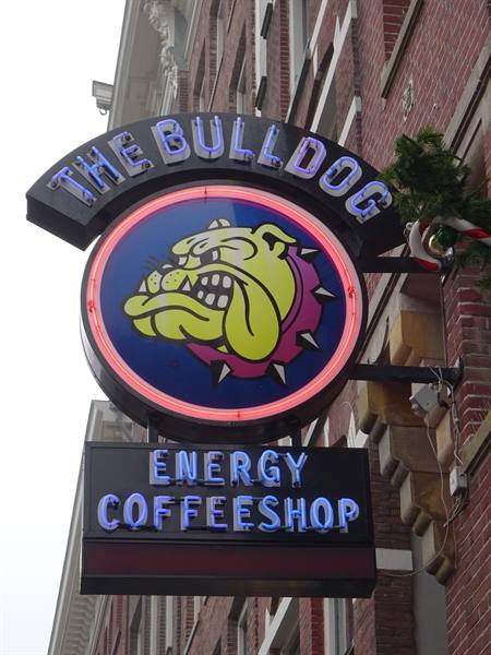 Amsterdam - Il celebre Bulldog Coffee Shop