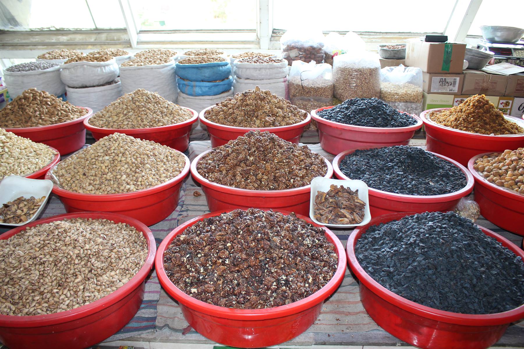 Foto di viaggio in UZBEKISTAN