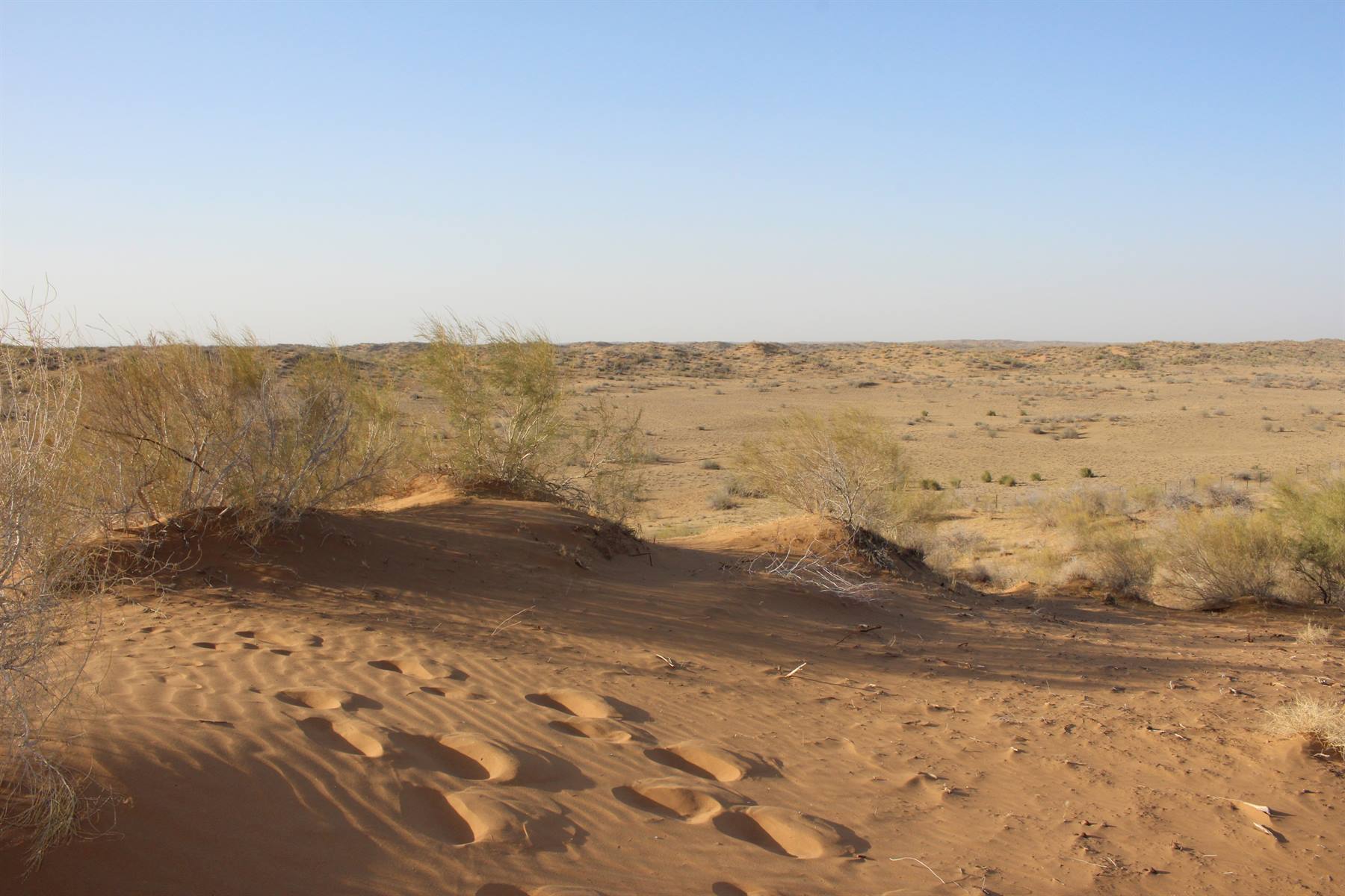 Foto di viaggio in UZBEKISTAN