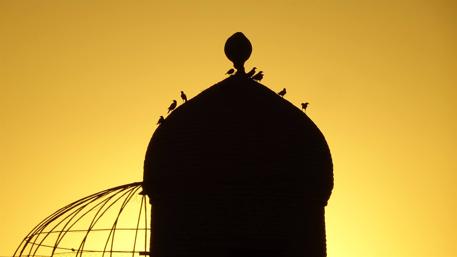 Foto di viaggio in UZBEKISTAN