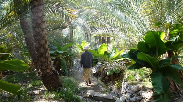 Un'ora camminando tra palme e banani, lontano dal mondo.